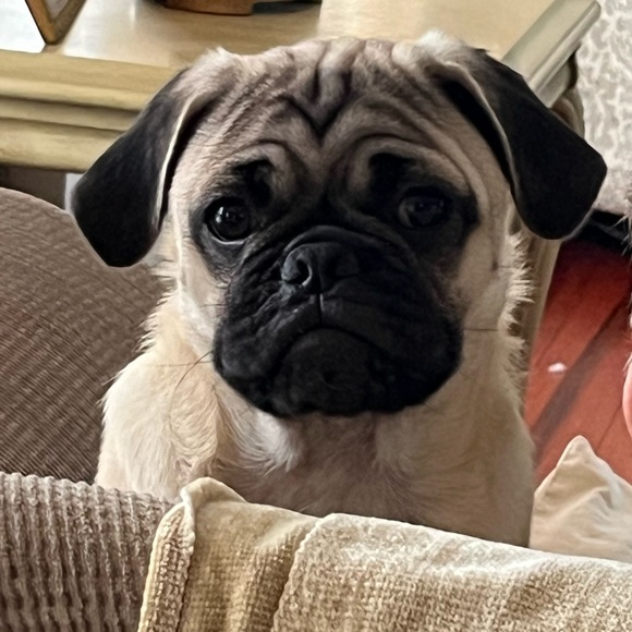 Thank you for shopping with me! Offers welcome! - Picture 12 of 16